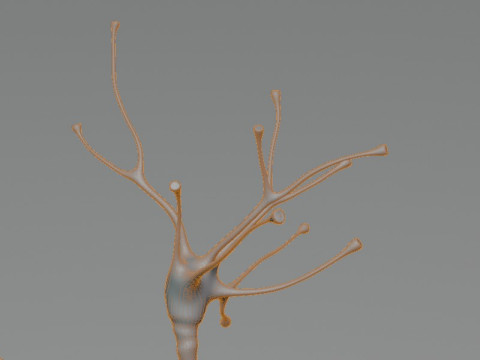 Neuron Sel Saraf Realistis Model 3D