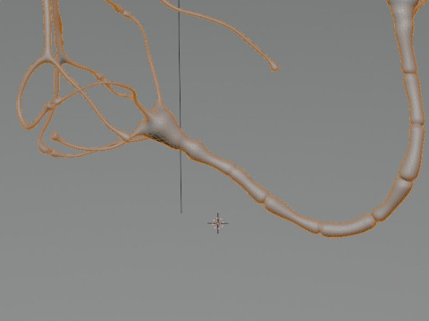 Neuron Sel Saraf Realistis Model 3D