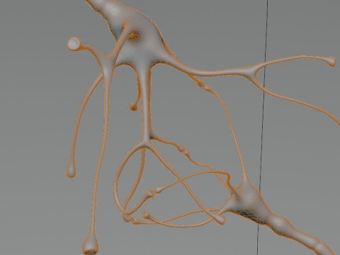 Neuron Sel Saraf Realistis Model 3D