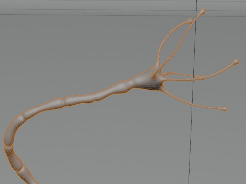 Neuron Sel Saraf Realistis Model 3D