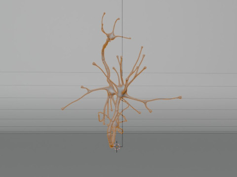 Neuron Sel Saraf Realistis Model 3D