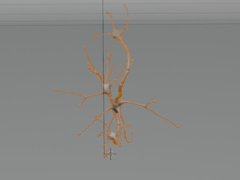 Neuron Sel Saraf Realistis Model 3D