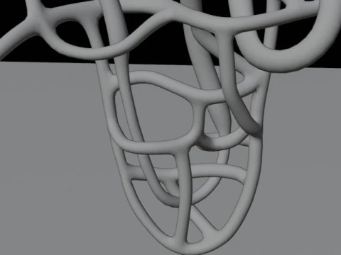 Highly Detailed Human Kidney Nephron Beshmesh 3D Model
