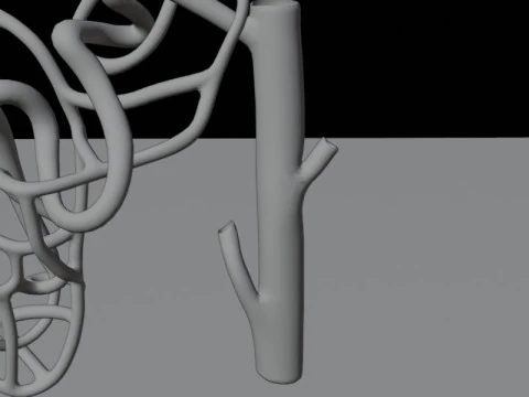 Highly Detailed Human Kidney Nephron Beshmesh 3D Model