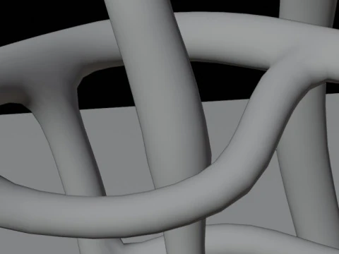 Highly Detailed Human Kidney Nephron Beshmesh 3D Model