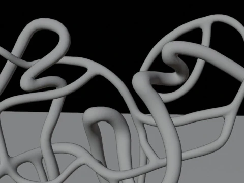 Highly Detailed Human Kidney Nephron Beshmesh 3D Model