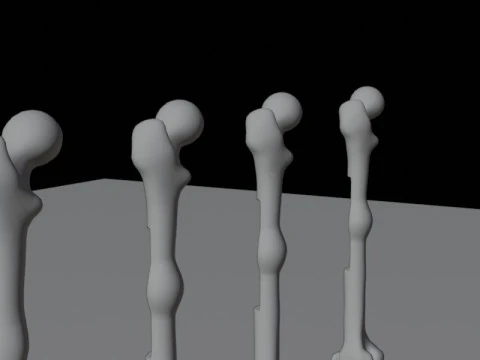 Human Long Bone Structure Internal Anatomy and Healing stages 3D Model