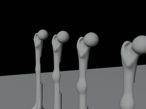 Human Long Bone Structure Internal Anatomy and Healing stages 3D Model