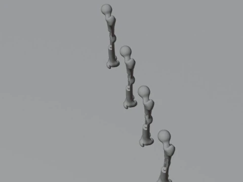 Human Long Bone Structure Internal Anatomy and Healing stages 3D Model