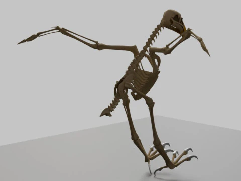 Stylized Avian Skeleton 3D Anatomy Model With Extended Wings 3D Model