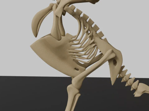 Stylized Avian Skeleton 3D Anatomy Model With Extended Wings 3D Model