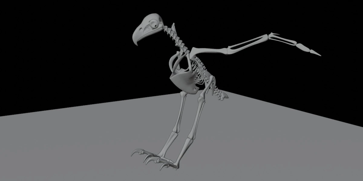 Stylized Avian Skeleton 3D Anatomy Model With Extended Wings Beshmesh 3D Model .c4d .max .obj .3ds .fbx .stl .blend 