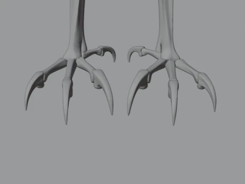 Stylized Avian Skeleton 3D Anatomy Model With Extended Wings Beshmesh 3D Model