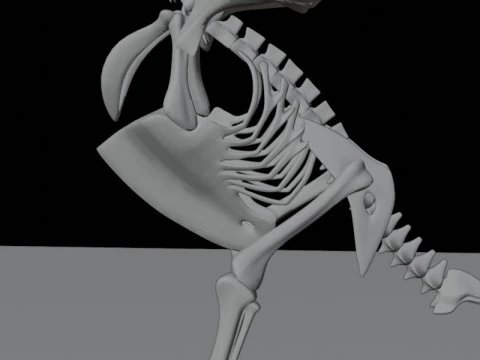 Stylized Avian Skeleton 3D Anatomy Model With Extended Wings Beshmesh 3D Model