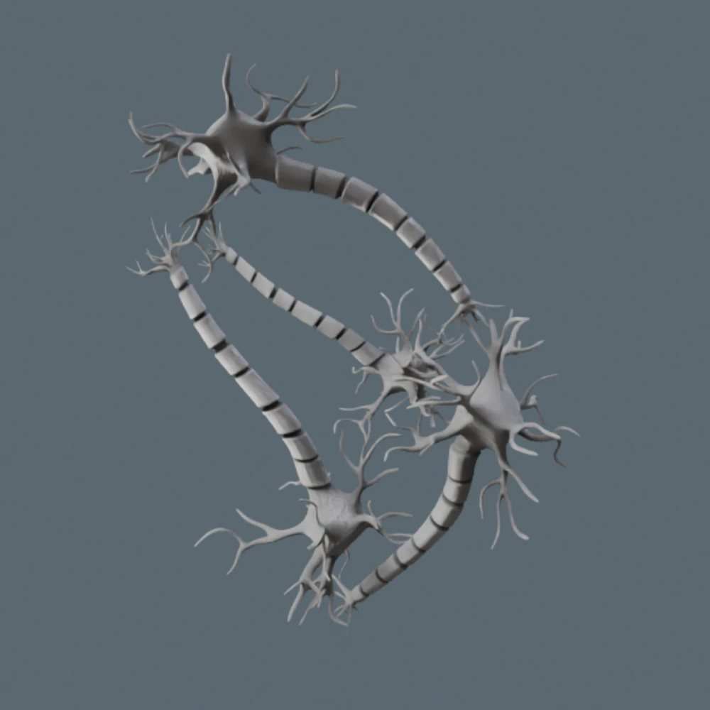 Realistic Neuron Network 3D Model .c4d .max .obj .3ds .fbx .stl .blend