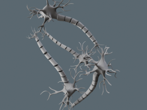 Realistyczna sieć neuronowa Model 3D