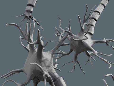 현실적인 뉴런 네트워크 3D 모델