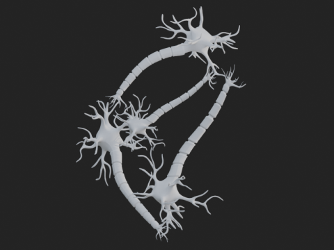 현실적인 뉴런 네트워크 3D 모델