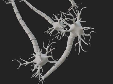 현실적인 뉴런 네트워크 3D 모델