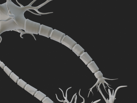 현실적인 뉴런 네트워크 3D 모델