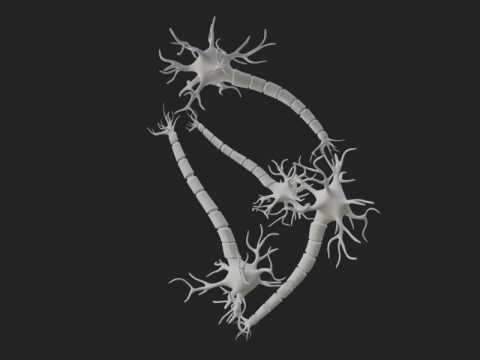 현실적인 뉴런 네트워크 3D 모델