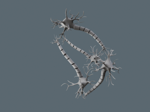 현실적인 뉴런 네트워크 3D 모델