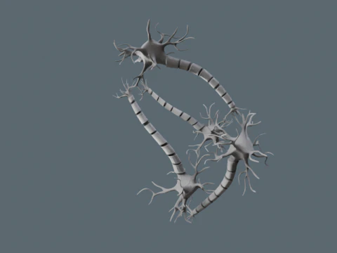 Realistic Neuron Network 3D Model