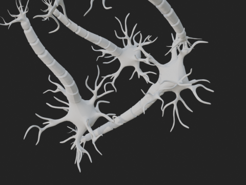 현실적인 뉴런 네트워크 3D 모델