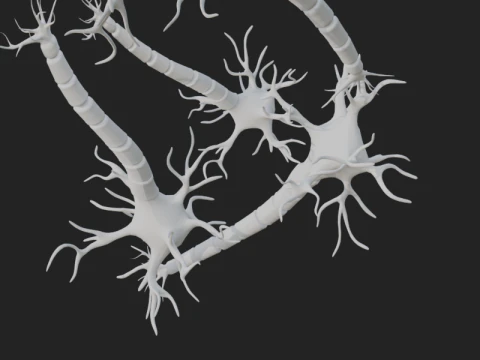 Realistic Neuron Network 3D Model