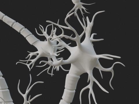 현실적인 뉴런 네트워크 3D 모델