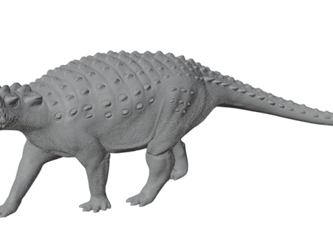Ankylosaurus gepantserde dinosaurus 3D Model