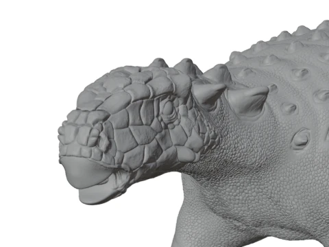 Ankylosaurus Armored Dinosaur 3D Model