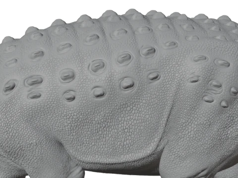 Ankylosaurus Armored Dinosaur 3D Model