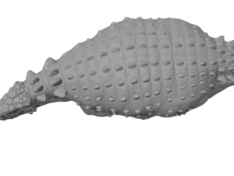 Ankylosaurus Armored Dinosaur 3D Model