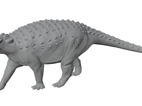Ankylosaurus Zırhlı Dinozor 3D Model