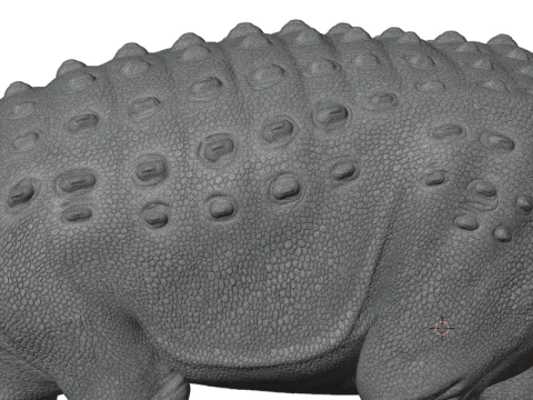 Ankylosaurus Armored Dinosaur 3D Model