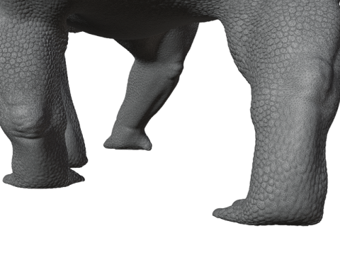 Ankylosaurus Zırhlı Dinozor 3D Model