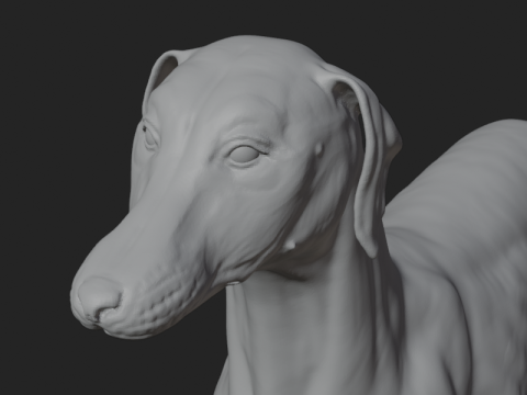Dog Anatomy Sculpt 3D Model
