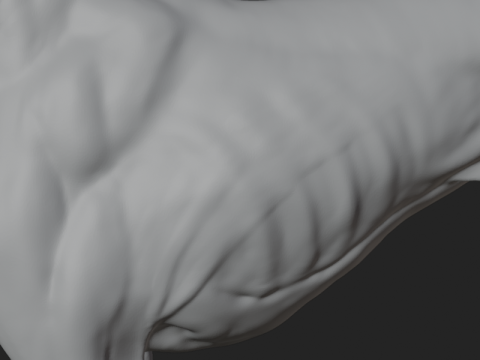 Dog Anatomy Sculpt 3D Model