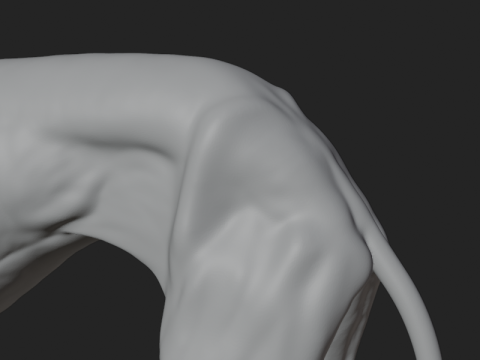 Dog Anatomy Sculpt 3D Model