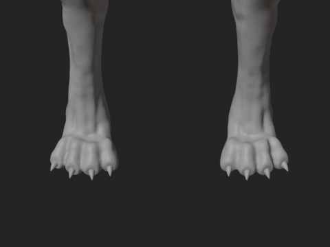 Dog Anatomy Sculpt 3D Model