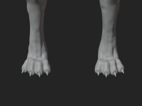 Dog Anatomy Sculpt 3D Model