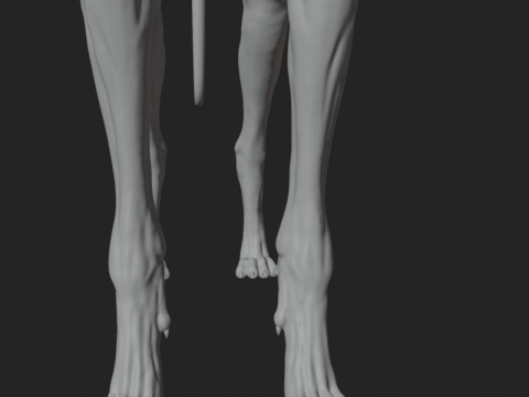 Dog Anatomy Sculpt 3D Model