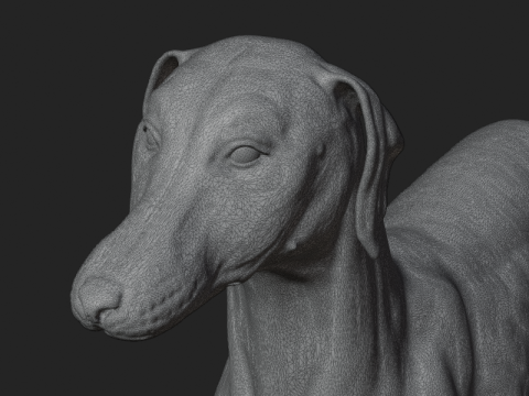 Dog Anatomy Sculpt 3D Model