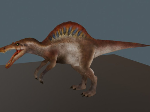 Hochdetaillierter Spinosaurus-Dinosaurier realistisch 3D Modell