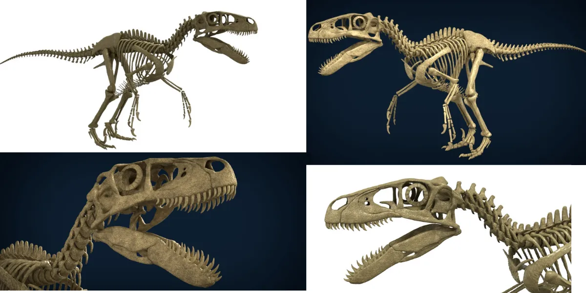 Highly Detailed Dinosaur Skeleton Display for Museum Medical Educational 3D Printable Model Sepa 3D Model .c4d .max .obj .3ds .fbx .stl .blend 