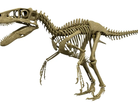 Highly Detailed Dinosaur Skeleton Display for Museum Medical Educational 3D Printable Model Sepa 3D Model