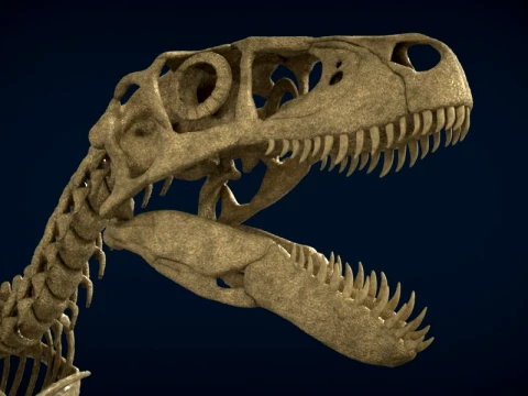 Highly Detailed Dinosaur Skeleton Display for Museum Medical Educational 3D Printable Model Sepa 3D Model