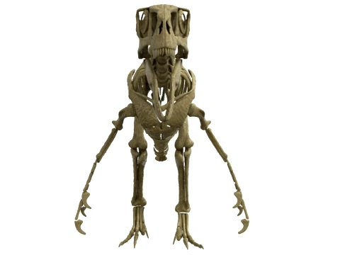 Highly Detailed Dinosaur Skeleton Display for Museum Medical Educational 3D Printable Model Sepa 3D Model