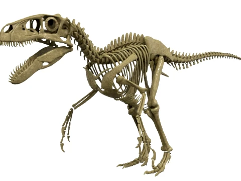 Highly Detailed Dinosaur Skeleton Display for Museum Medical Educational 3D Printable Model Sepa 3D Model
